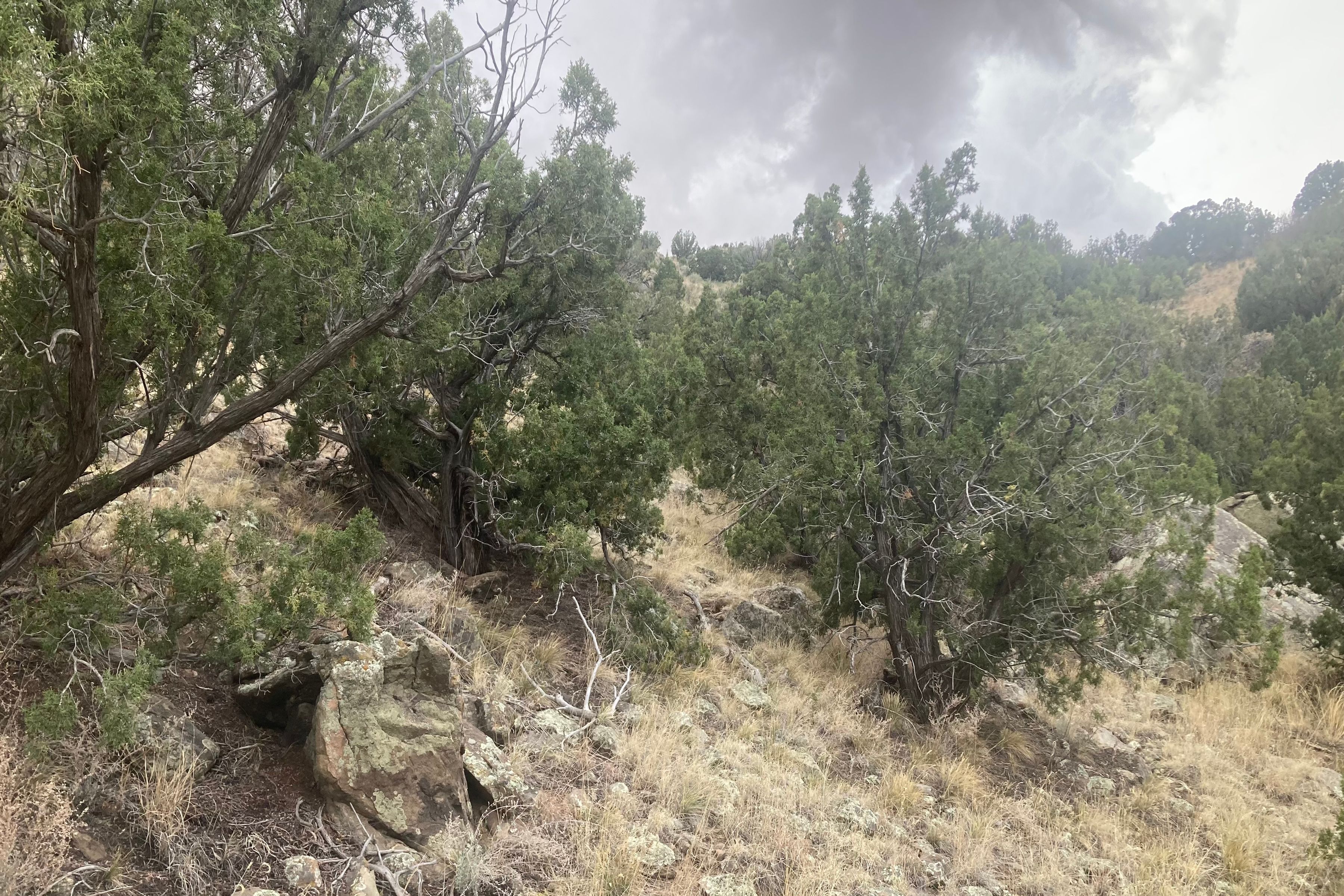  0 Land In Cerrillos T 15n R 8e S31., E 1/2-, Nw 1/4 - 物件實景