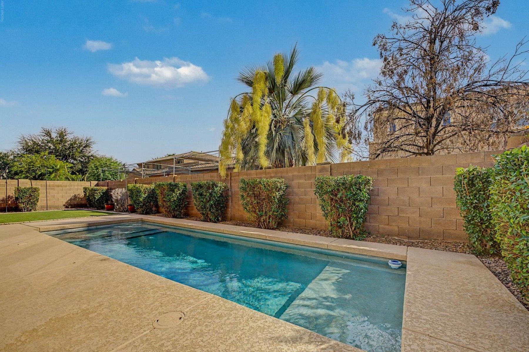  2637 E Dogwood Drive ¦Chandler, AZ - 物件實景