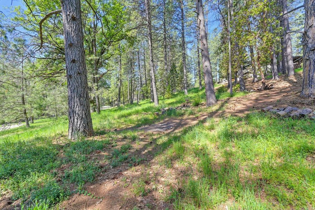 Foresthill, California, 95631, United States, 3 Bedrooms Bedrooms, ,2 BathroomsBathrooms,Residential,For Sale,1819375