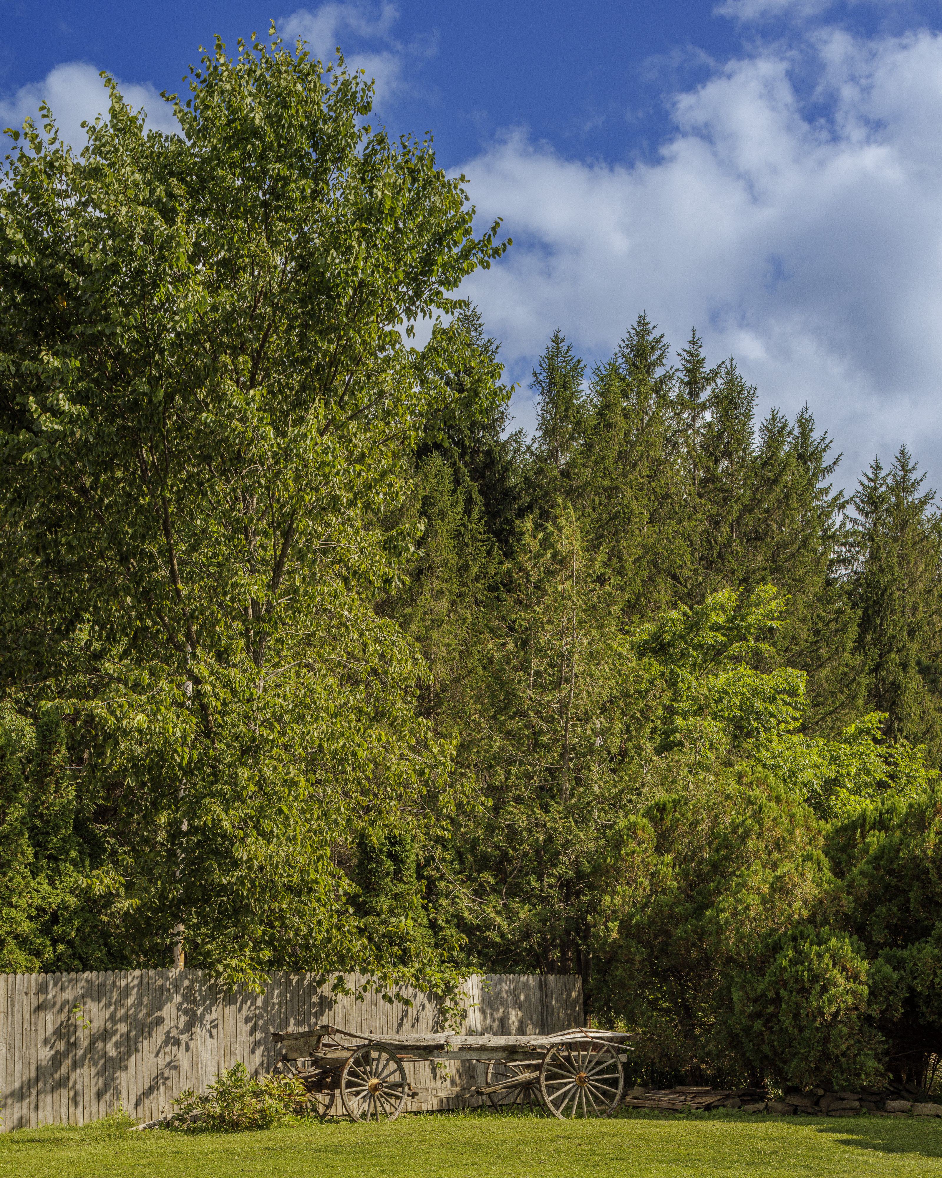  351 Warners Lake Road, East Berne, NY 12059 - 物件實景