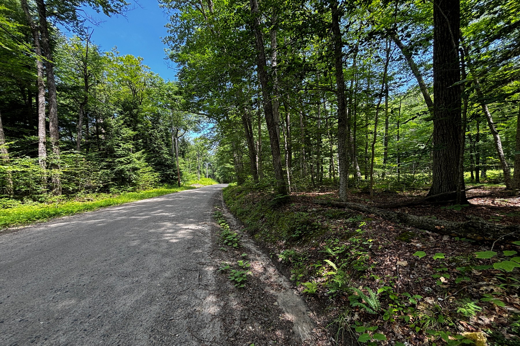  27 acres with close to Chester Village and Skiing - 物件實景