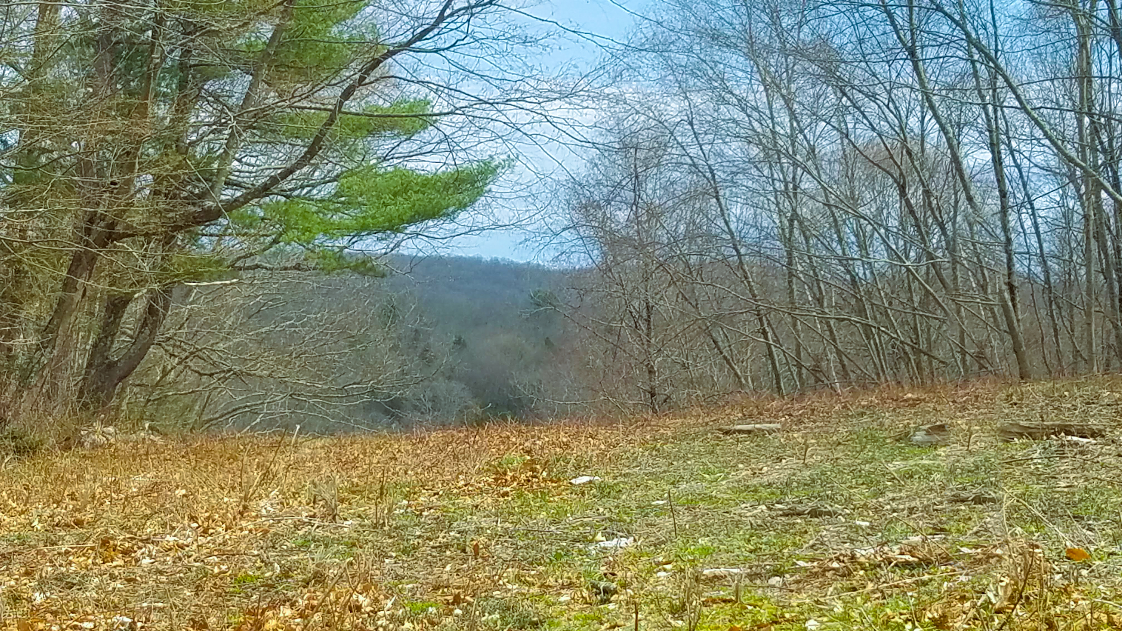  Nestled in the Hills of Southbury - 物件實景