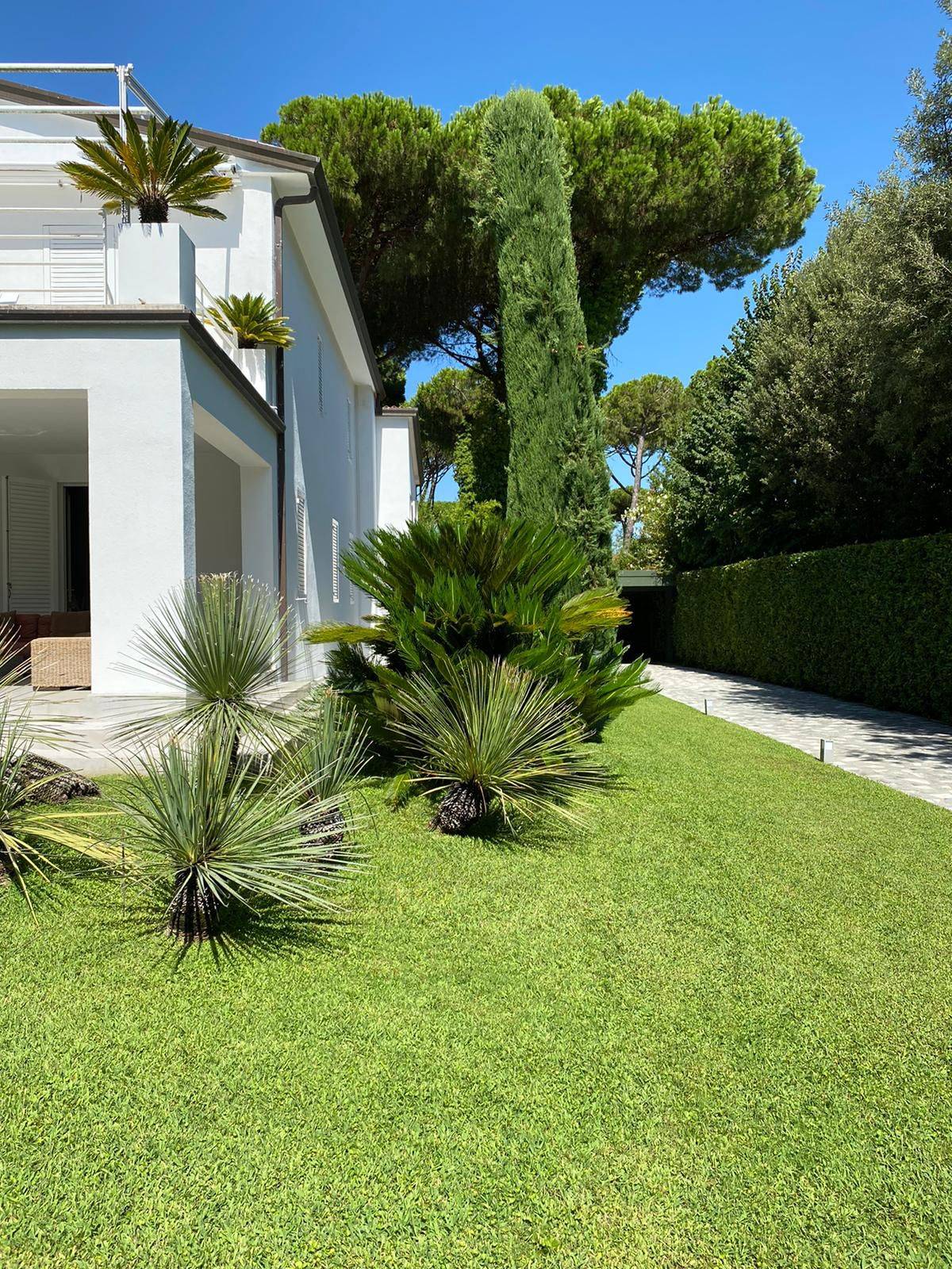 Via C. Carr?, Forte dei Marmi, Lucca, 55042, IT, 5 Bedrooms Bedrooms, ,7 BathroomsBathrooms,Residential,For Sale,Via C. Carr?,1615992
