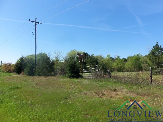 TBD U.S. HWY. 259 N., Kilgore, Texas, 75662, United States, ,Land,For Sale,TBD U.S. HWY. 259 N.,1542568