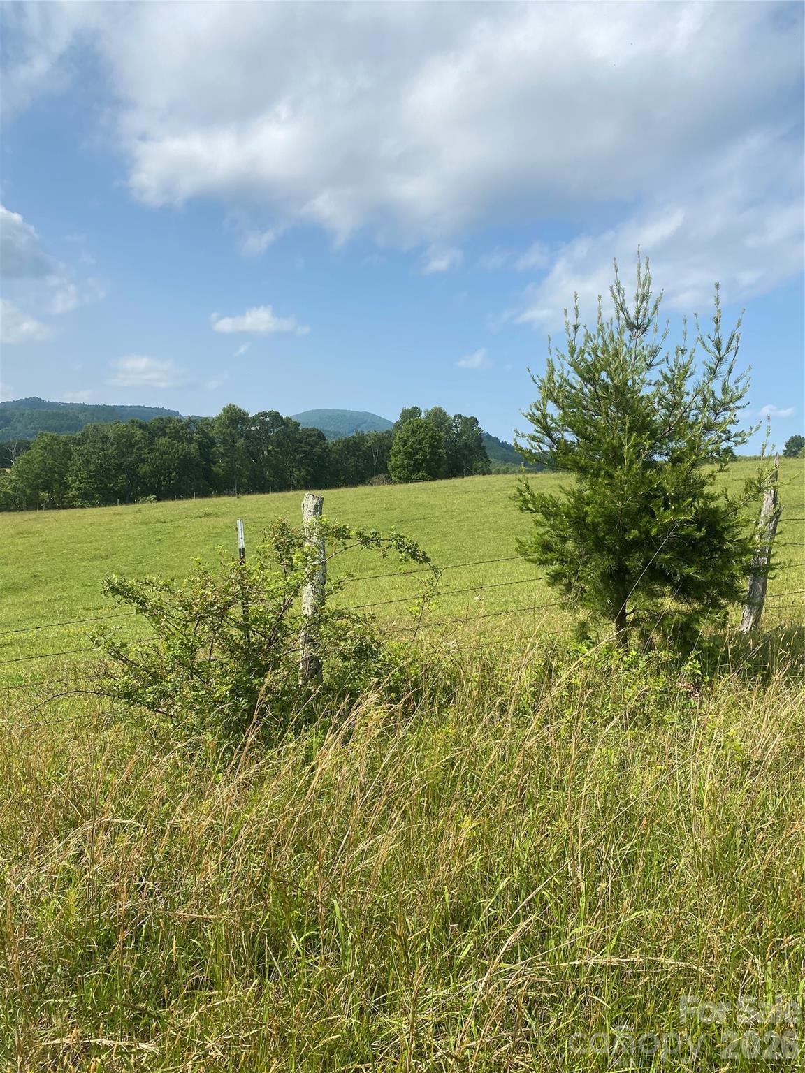Hendersonville, North Carolina, 28792, United States, ,Land,For Sale,2010421