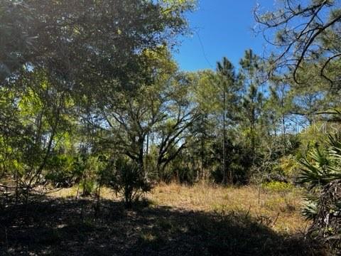 Punta Gorda, Florida, 33982, United States, ,Land,For Sale,1840783