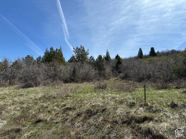 Mt Pleasant, Utah, 84647, United States, 4 Bedrooms Bedrooms, ,3 BathroomsBathrooms,Residential,For Sale,1921655