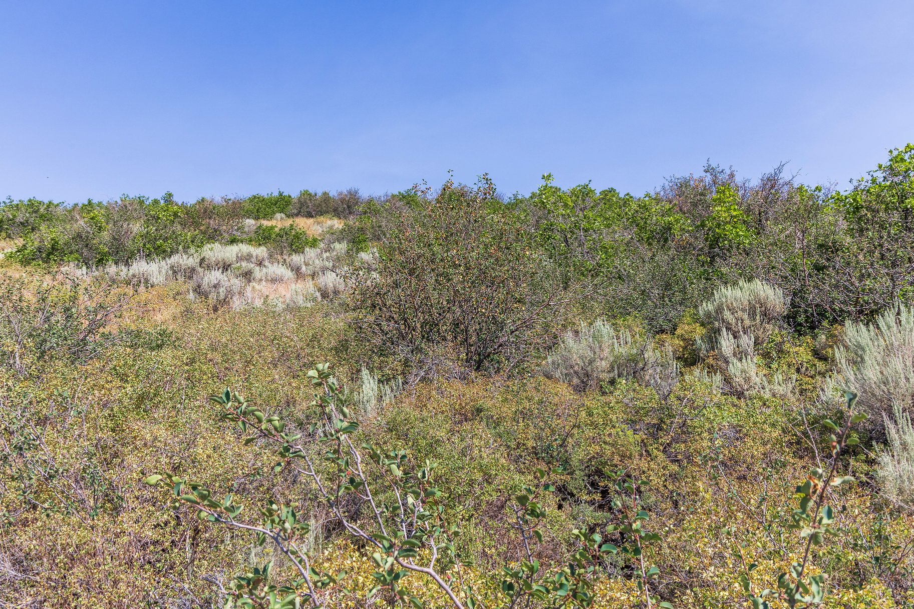  Deer Vista Homesite with Habitations Building Plans and Jaw-Dropping Views - 物件實景