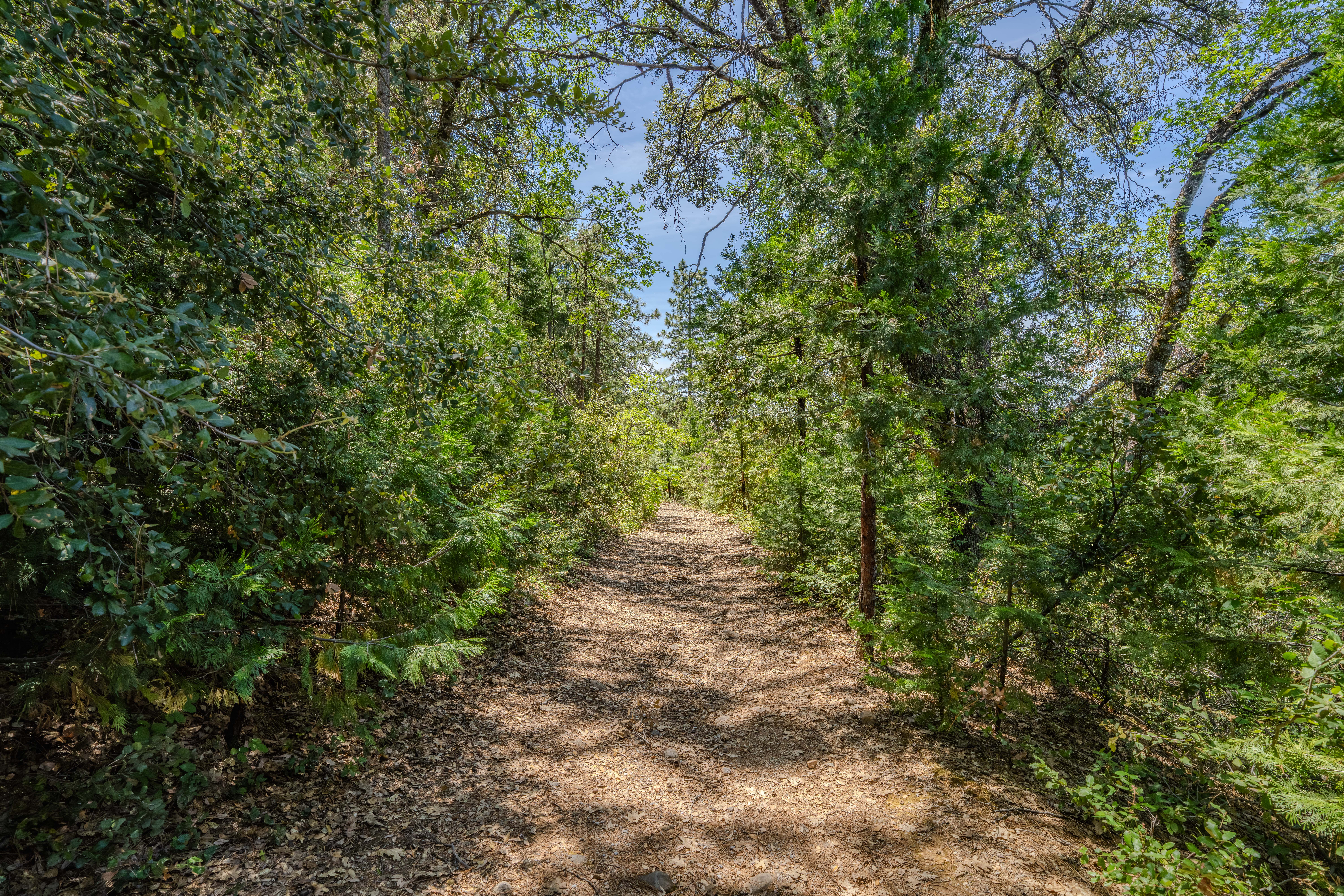  24100 Canterbury Road, Pioneer, CA 95666 - 物件實景