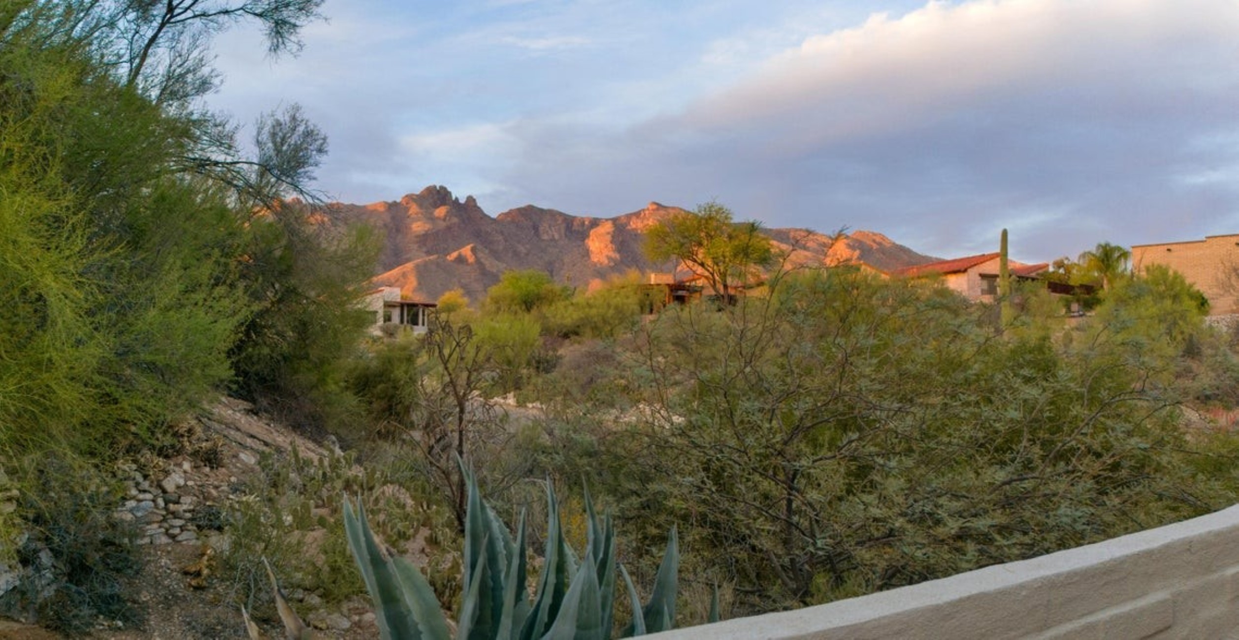  6250 N Campbell Avenue¦Tucson, AZ - 物件實景