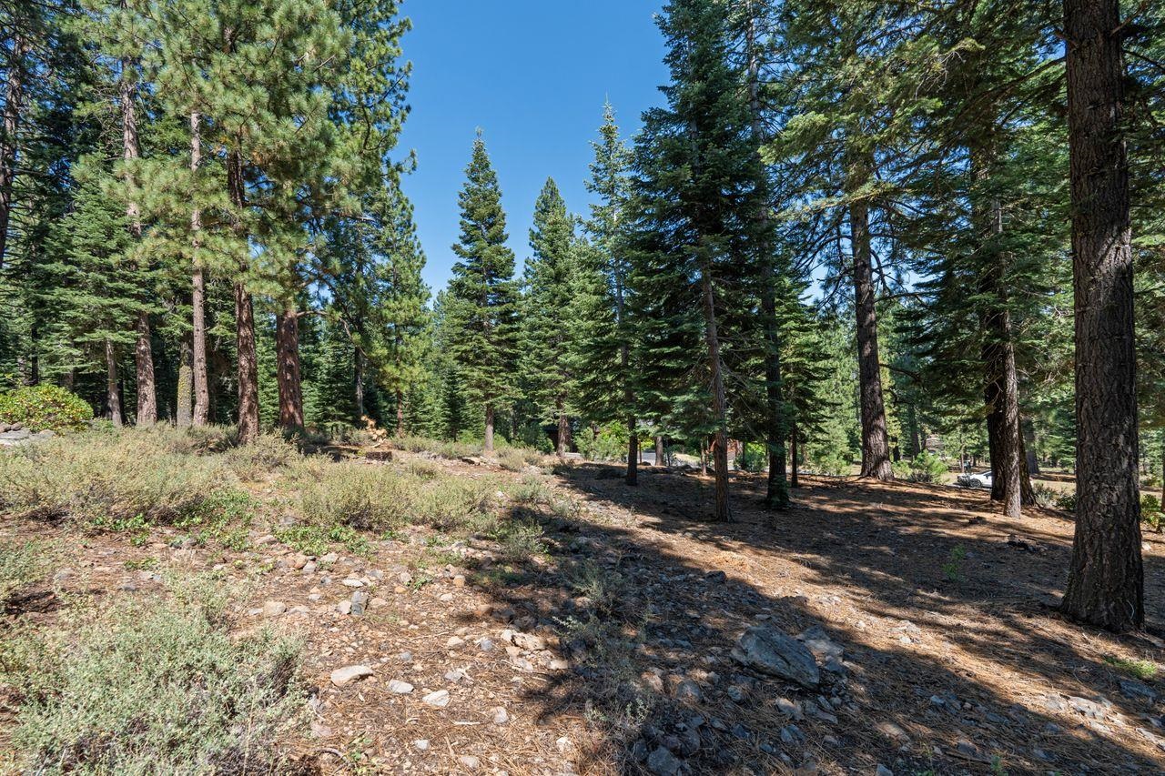 Truckee, California, 96161, United States, ,Land,For Sale,1818006