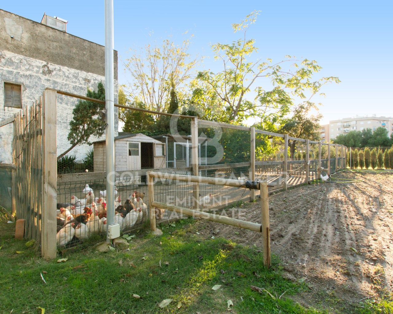 Mataró, Catalonia, ES, 6 Bedrooms Bedrooms, ,5 BathroomsBathrooms,Residential,For Sale,2000993