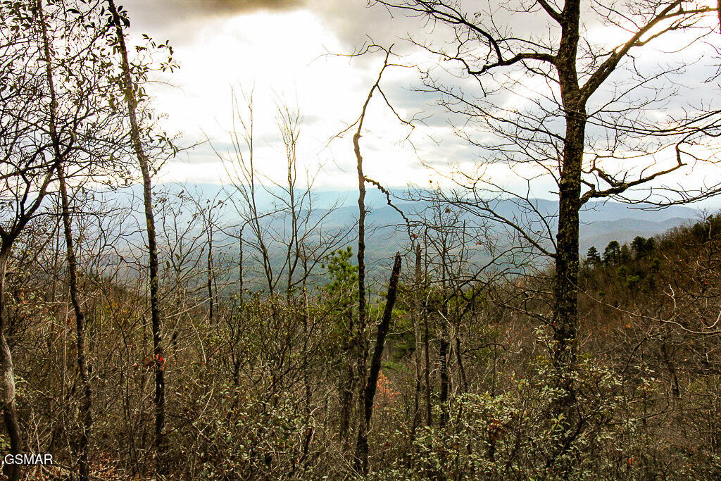 Sevierville, Tennessee, 37876, United States, ,Land,For Sale,2009102