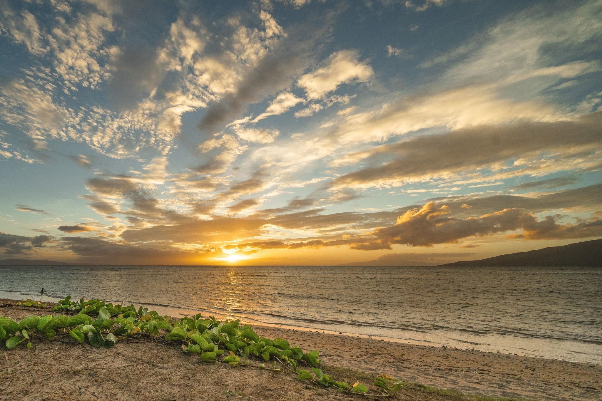Kihei, Hawaii, 96753, United States, 1 Bedroom Bedrooms, ,1 BathroomBathrooms,Residential,For Sale,1692851