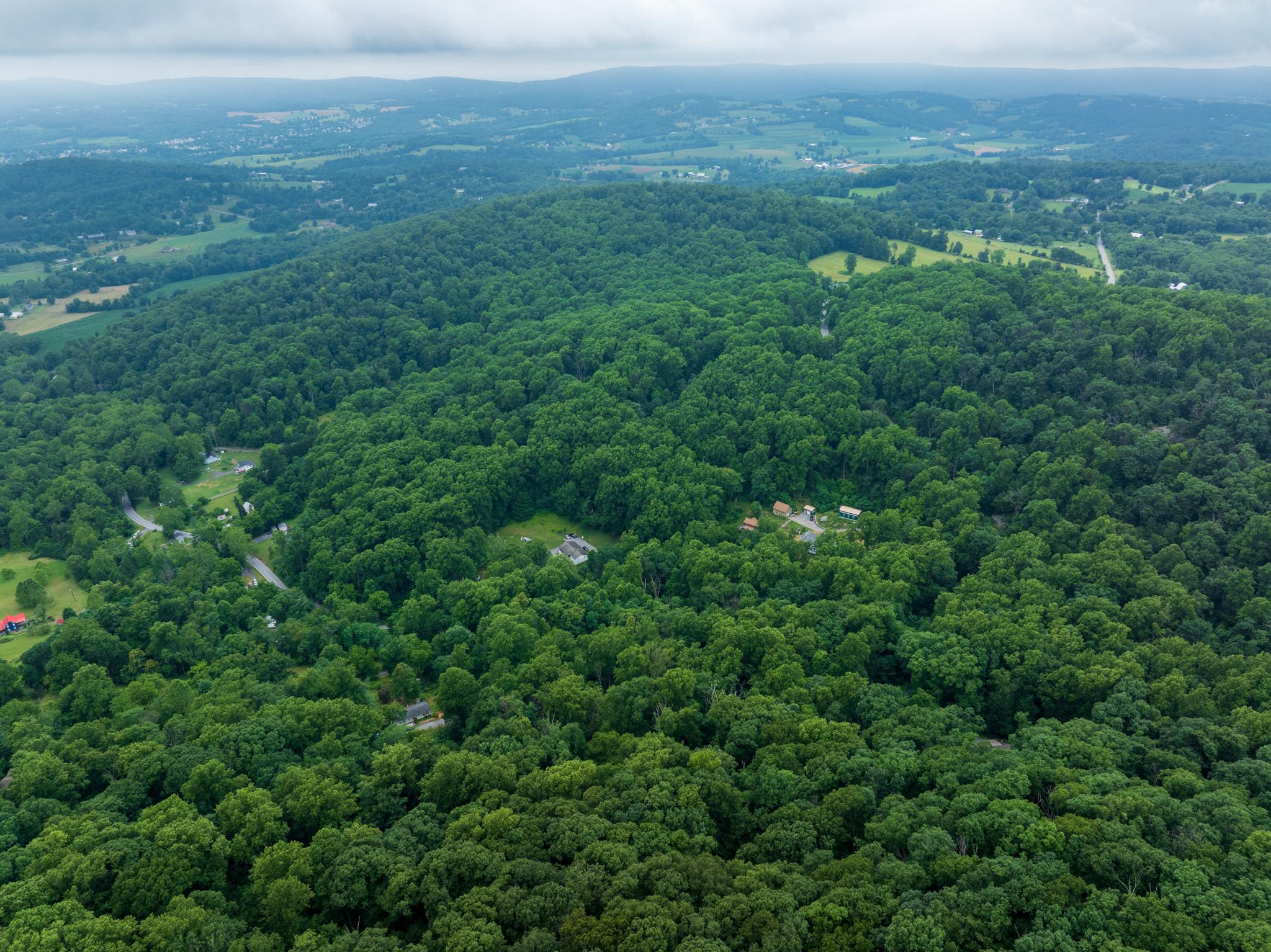  4617 Fishers Hollow Road, Myersville, MD, 21773 - 物件實景