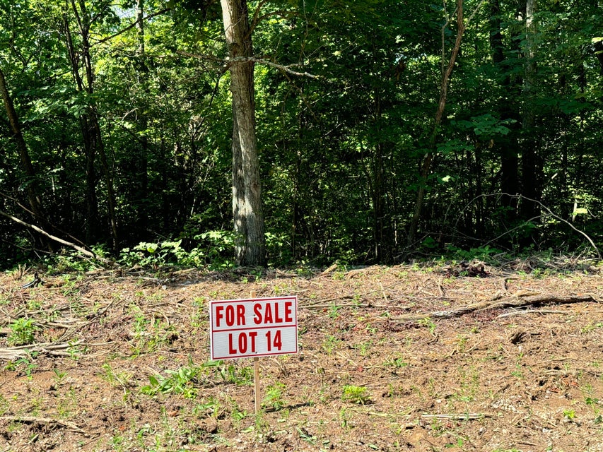 Somerset, Kentucky, 42501, United States, ,Residential,For Sale,1923151
