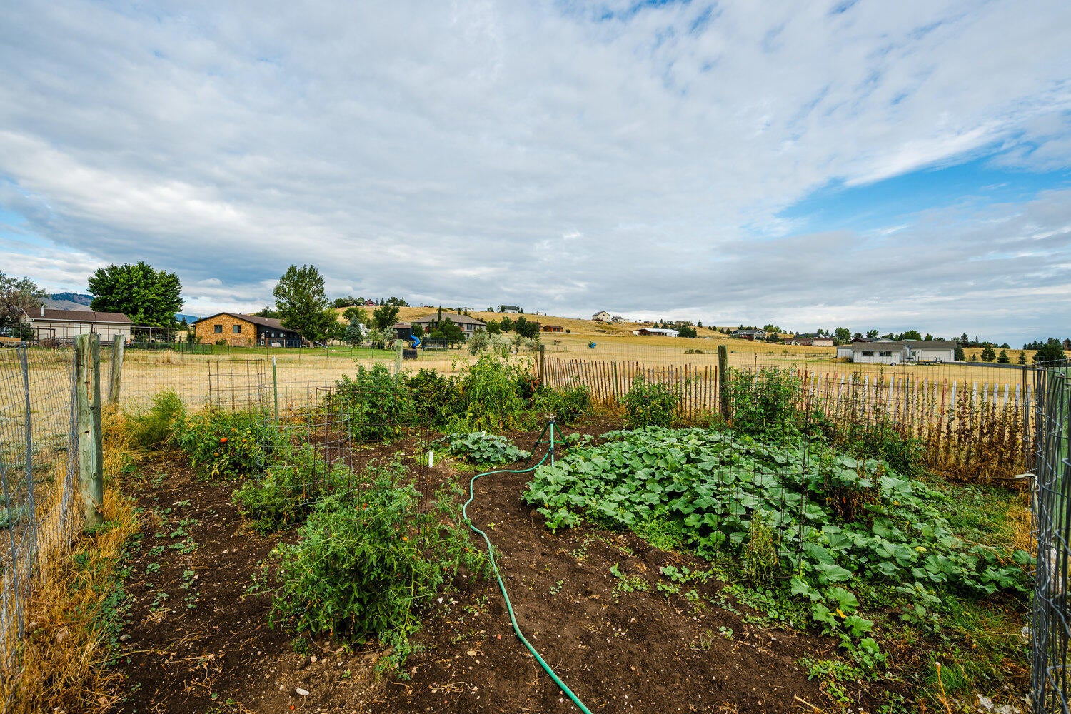Buffalo, Wyoming, 82834, United States, 3 Bedrooms Bedrooms, ,2 BathroomsBathrooms,Residential,For Sale,1982571