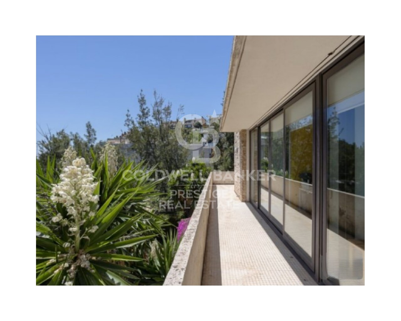 Barcelona, Esplugues de Llobregat, La Miranda - Ci, Esplugues de Llobregat, Catalonia, ES, 10 Bedrooms Bedrooms, ,6 BathroomsBathrooms,Residential,For Sale,Barcelona, Esplugues de Llobregat, La Miranda - Ci,1536500