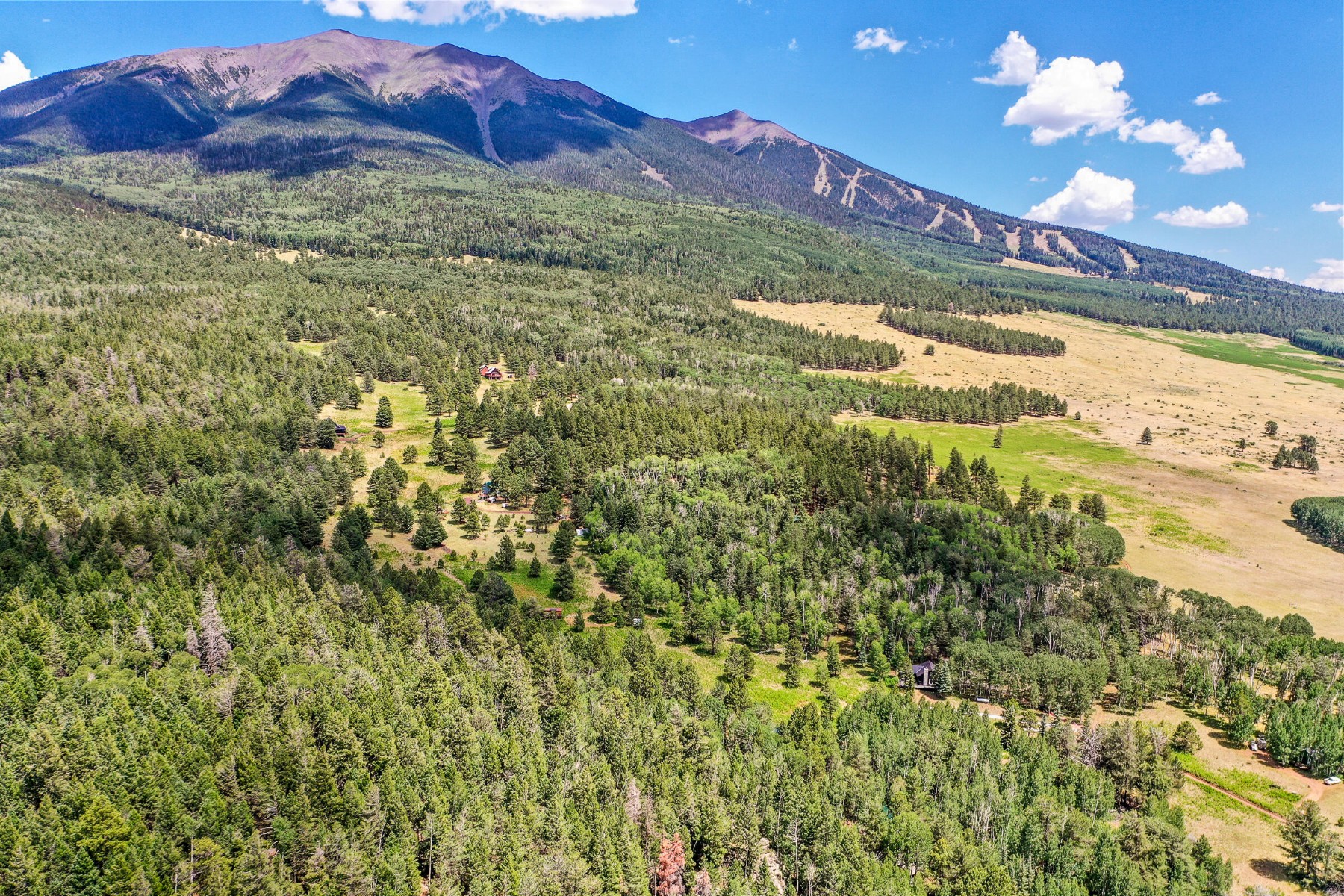  17787 N Forest Service 9004t Road ¦ Flagstaff, AZ - 物件實景