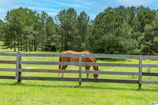 Columbiana, Alabama, 35051, United States, 3 Bedrooms Bedrooms, ,2 BathroomsBathrooms,Residential,For Sale,1975847