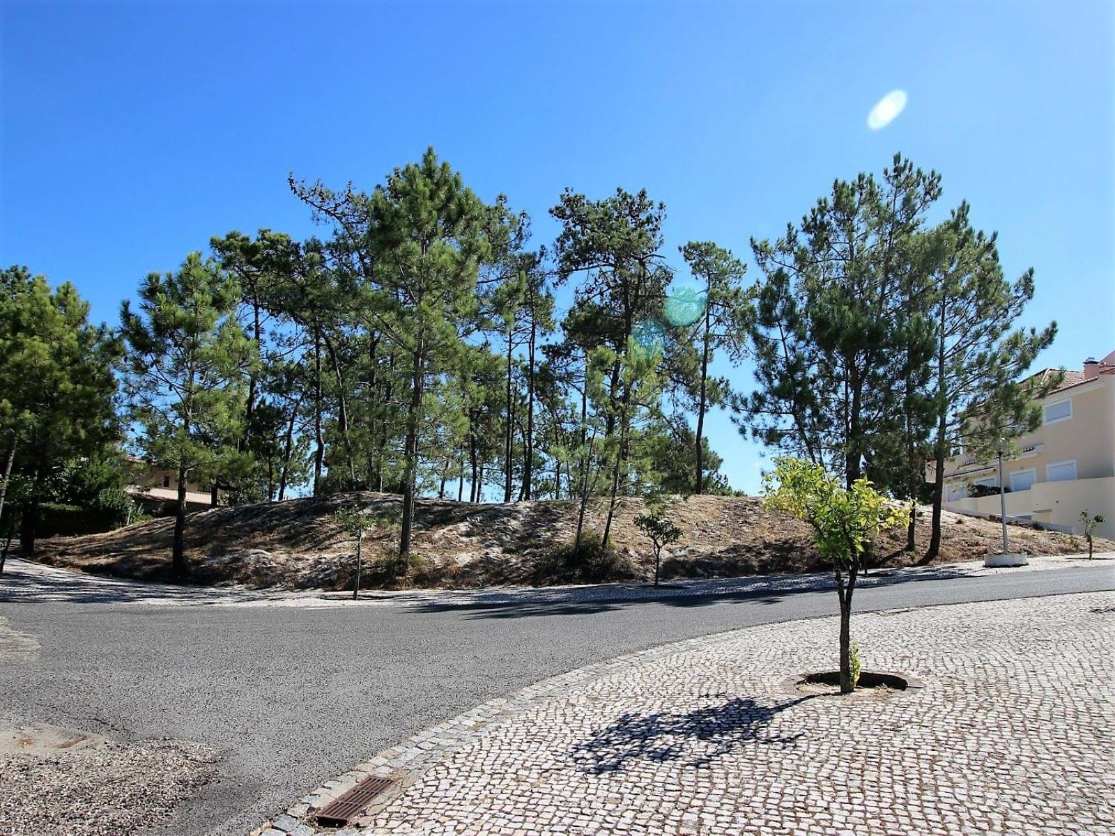 Grândola, Setúbal, 7570-779, PT, ,Land,For Sale,1699910