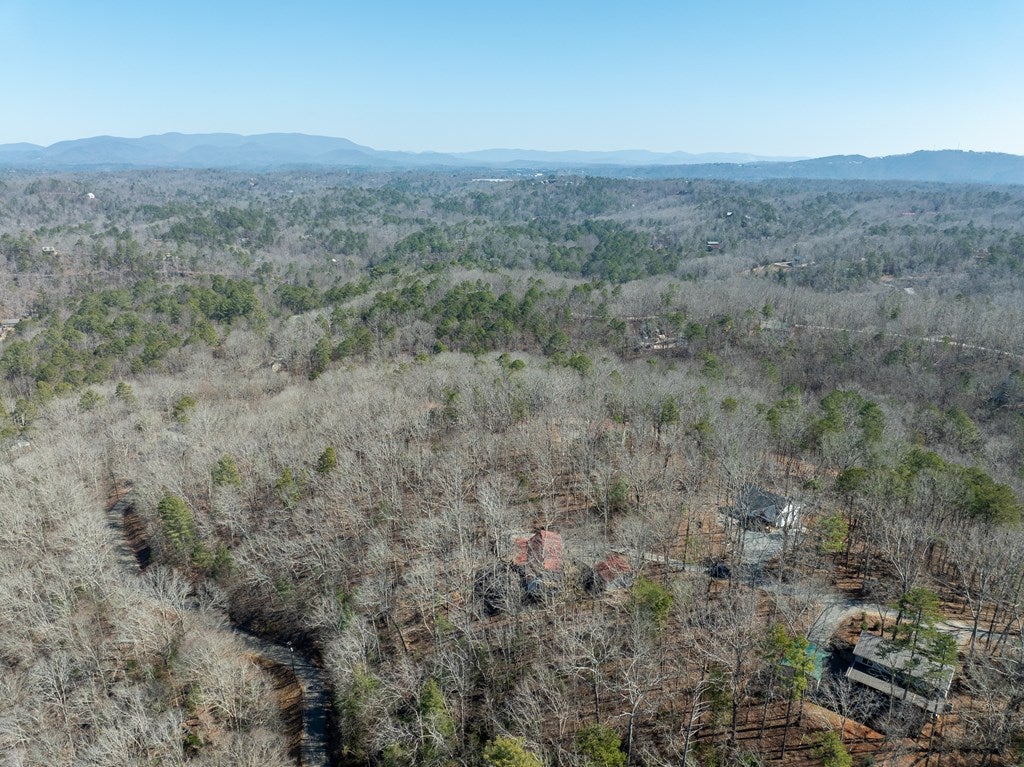 Ellijay, Georgia, 30540, United States, 4 Bedrooms Bedrooms, ,4 BathroomsBathrooms,Residential,For Sale,1858933