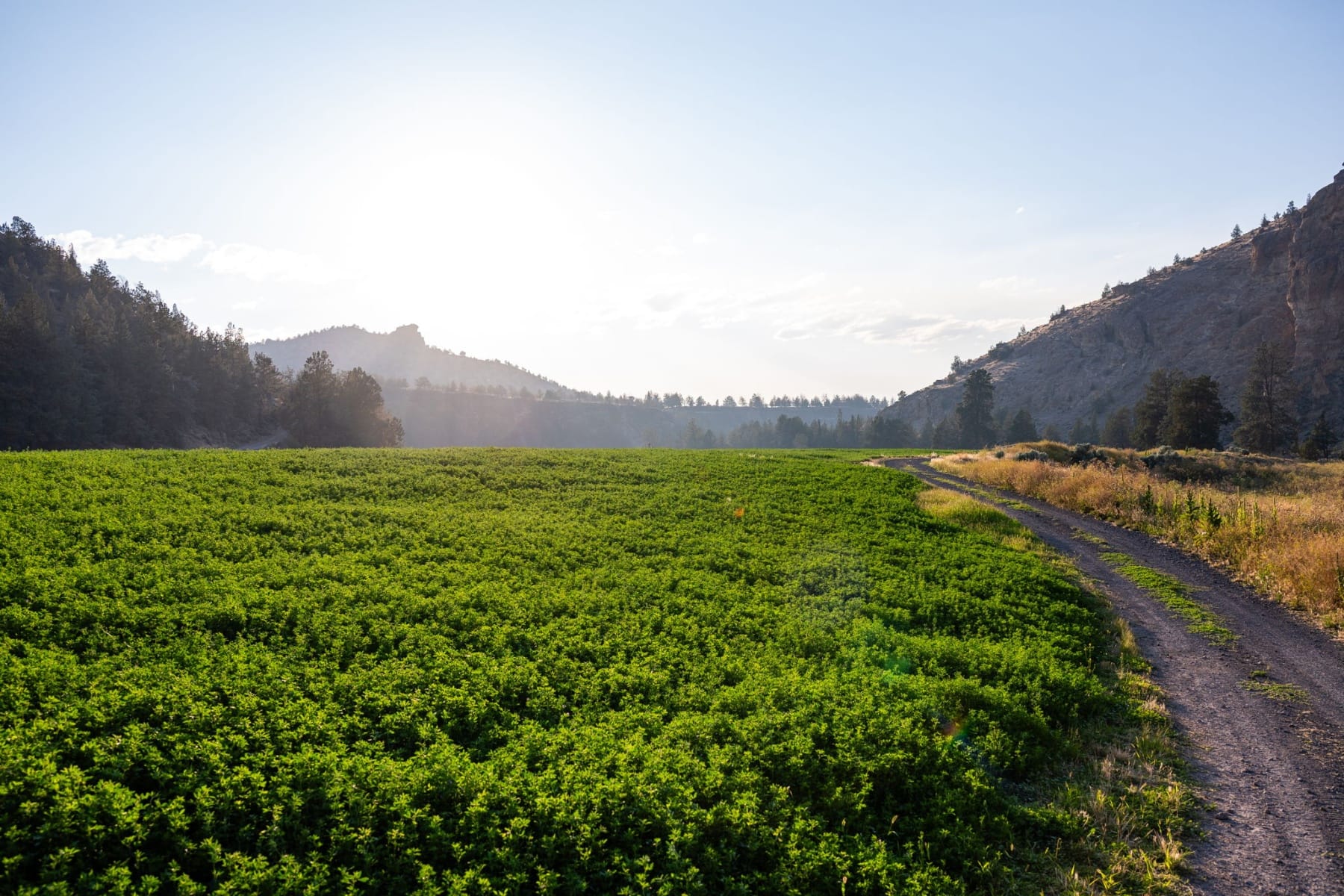  11330 NE Canyons Ranch Drive #LH 13 Terrebonne, OR 97760 - 物件實景