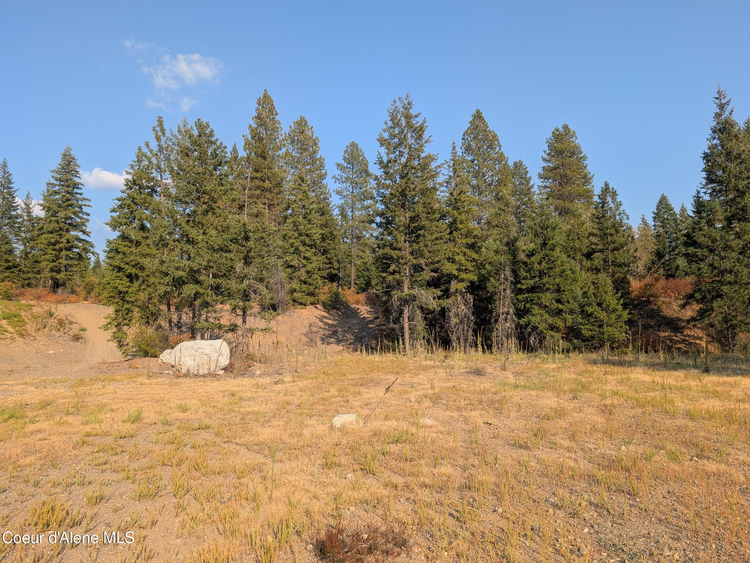 Spirit Lake, Idaho, 83869, United States, ,Land,For Sale,1981864