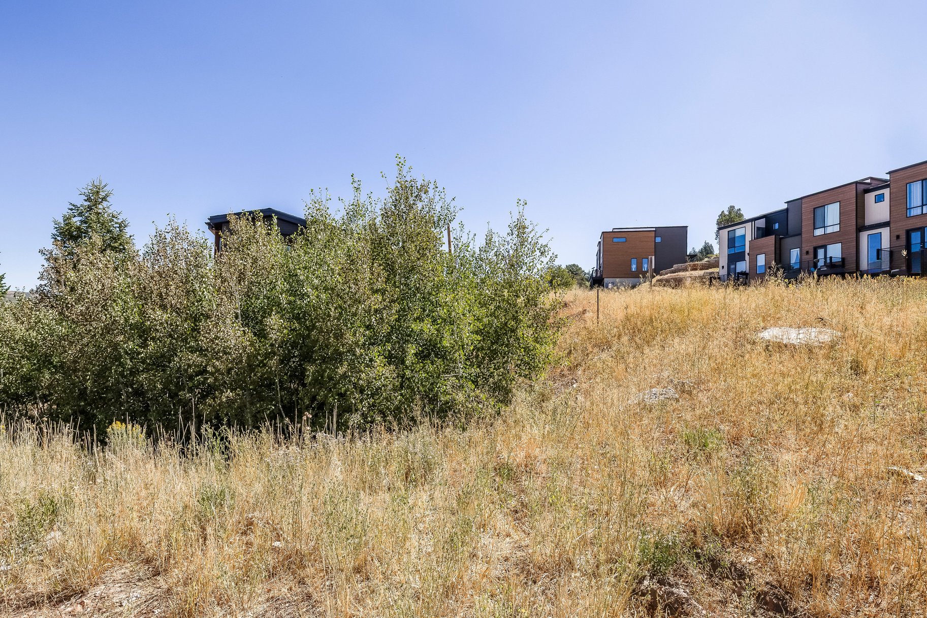  Modern Mountain Living in Discovery Ridge  Toll Canyon Setting - 物件實景