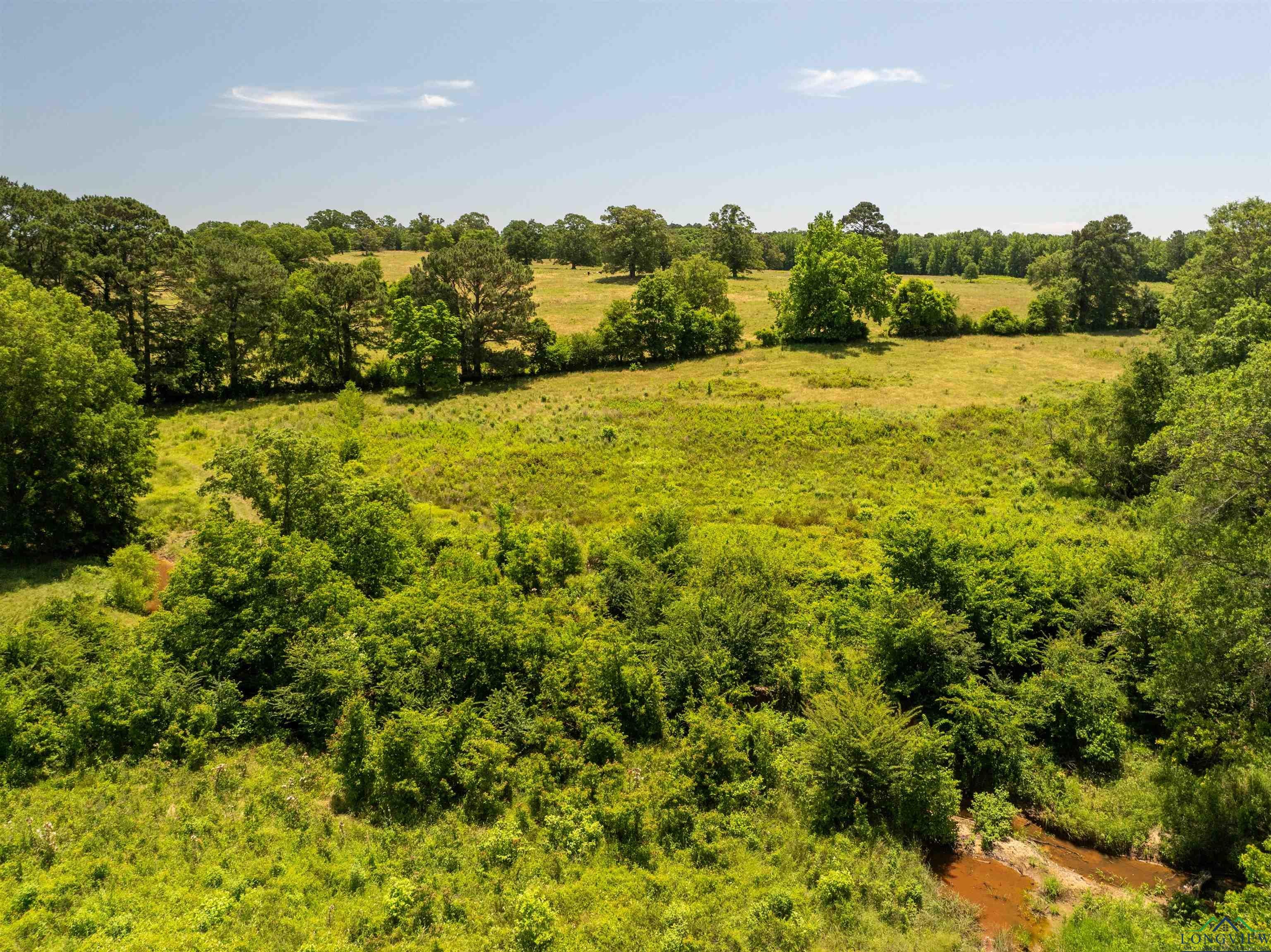 7557 FM 248, Lodi, Texas, 75564, United States, ,Residential,For Sale,7557 FM 248,1614560