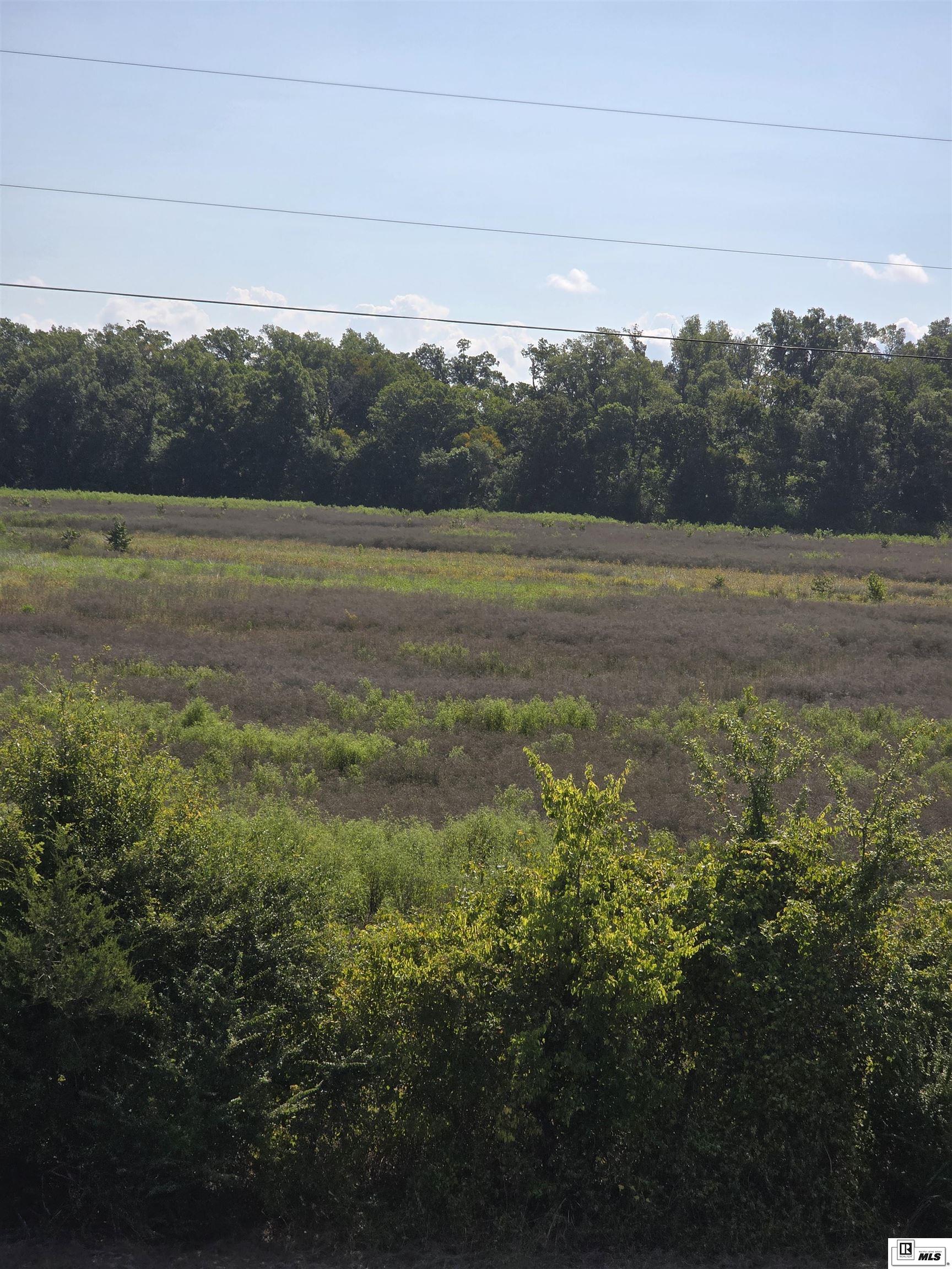 Rayville, Louisiana, 71269, United States, ,Residential,For Sale,1916667