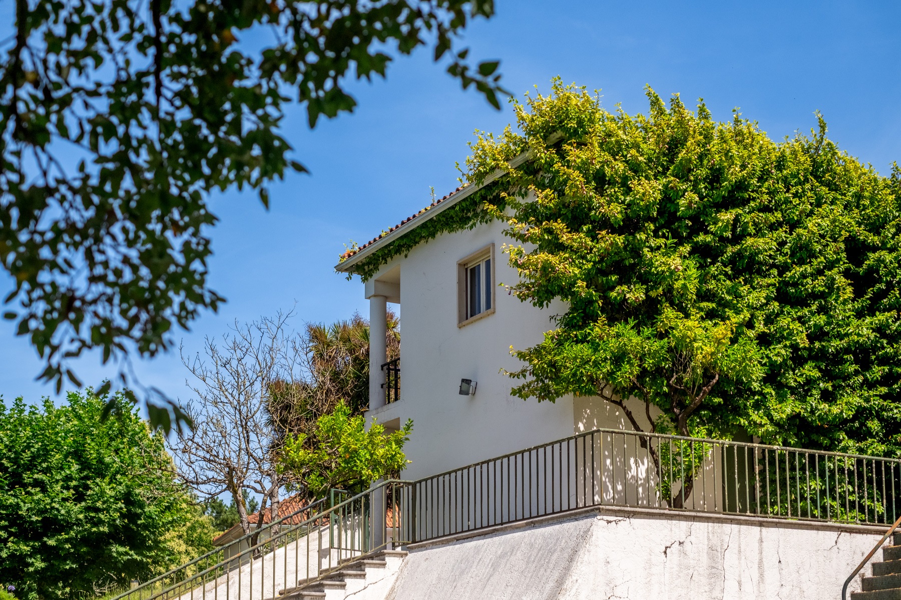  Country Estate, 15 bedrooms, for Sale - 物件實景