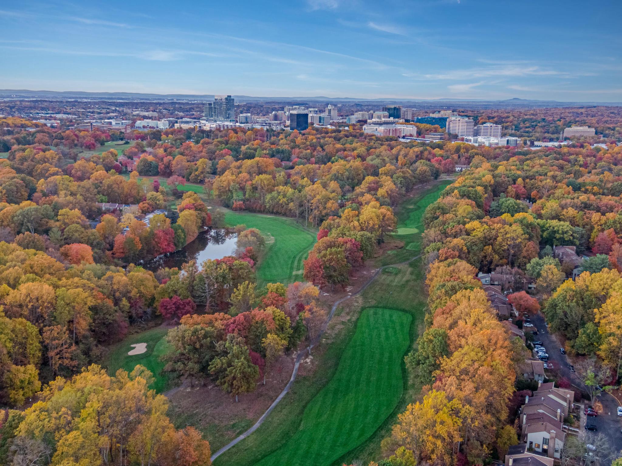  2256 Gunsmith Square, Reston, VA, 20191 - 物件實景