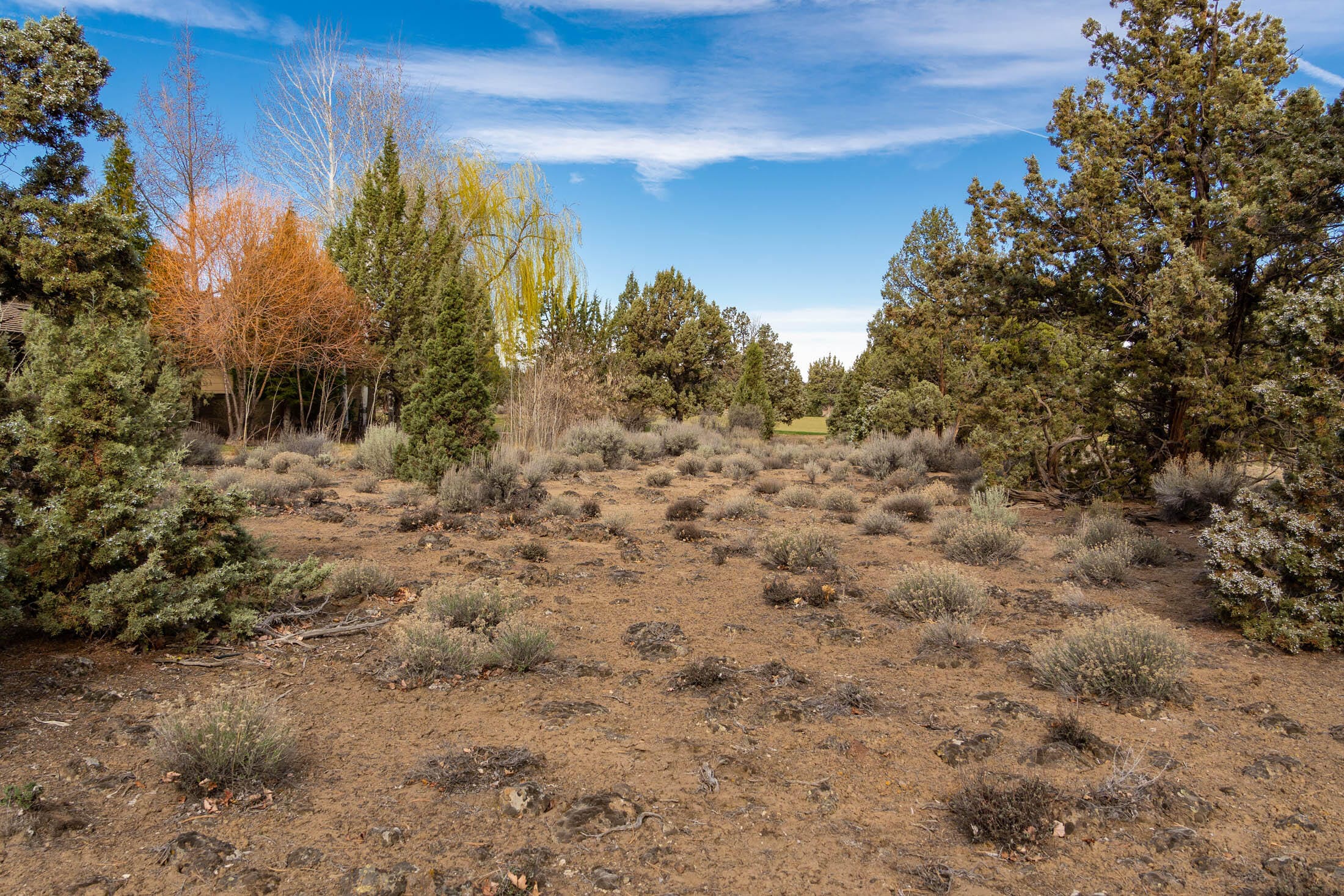  65833 Bearing Drive #Lot 130 Bend, OR 97701 - 物件實景