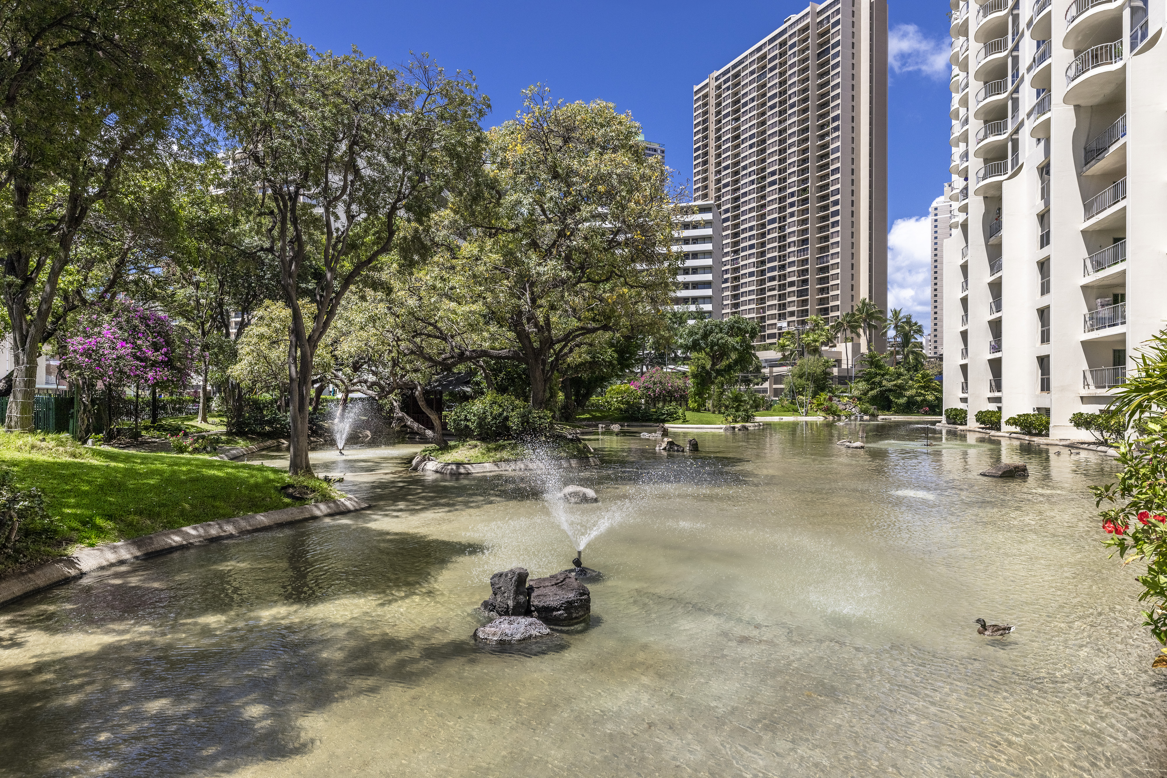 Honolulu, Hawaii, 96815, United States, 2 Bedrooms Bedrooms, ,2 BathroomsBathrooms,Residential,For Sale,1980604