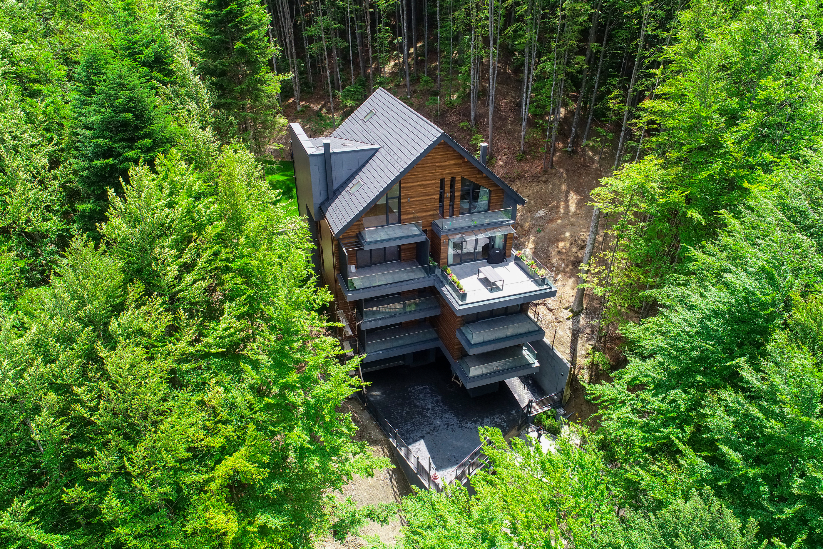  Modern Apartment Directly Adjacent to the Forest, Sinaia - 物件實景