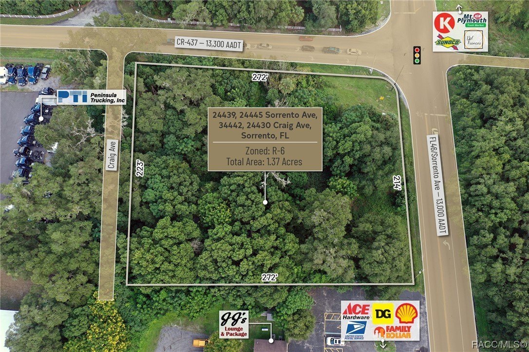 24439 Sorrento Avenue, Mount Dora, Florida, 32776, United States, ,Residential,For Sale,24439 Sorrento Avenue,1348352