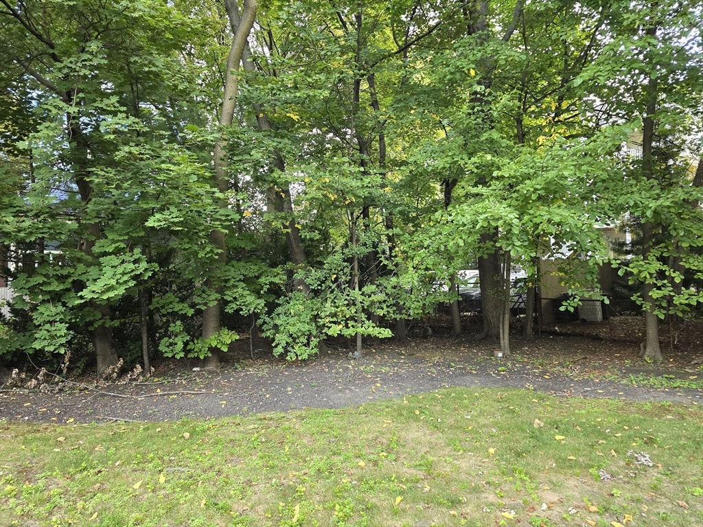 Cambridge, Massachusetts, 02138, United States, 6 Bedrooms Bedrooms, ,3 BathroomsBathrooms,Residential,For Sale,2000907