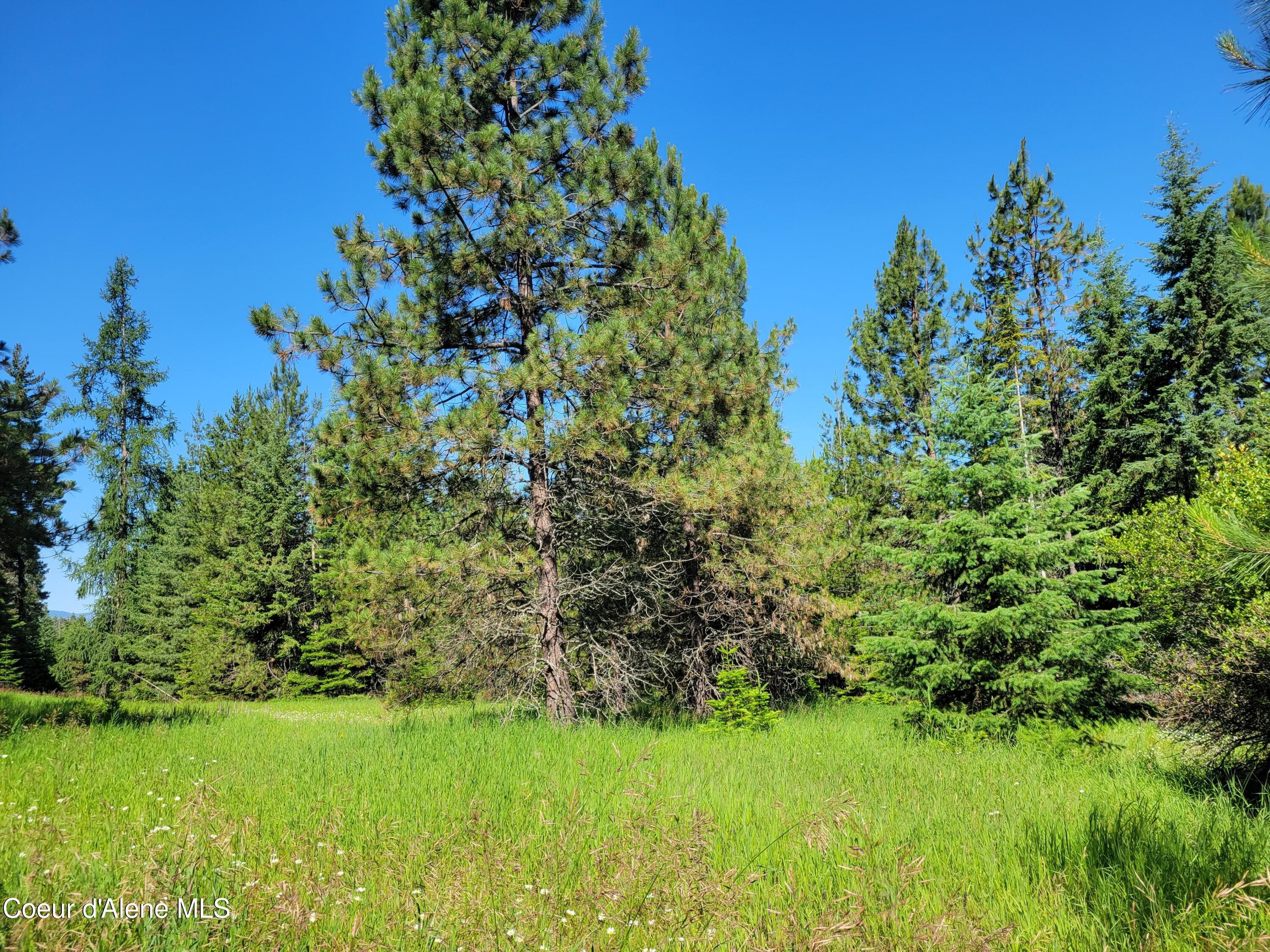Coeur d'Alene, Idaho, 83814, United States, ,Residential,For Sale,1937421