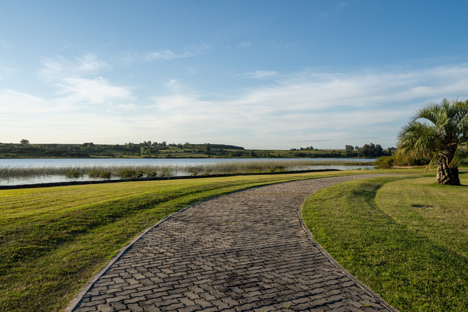  23 Hectares with Coastline on Laguna del Sauce - 物件實景