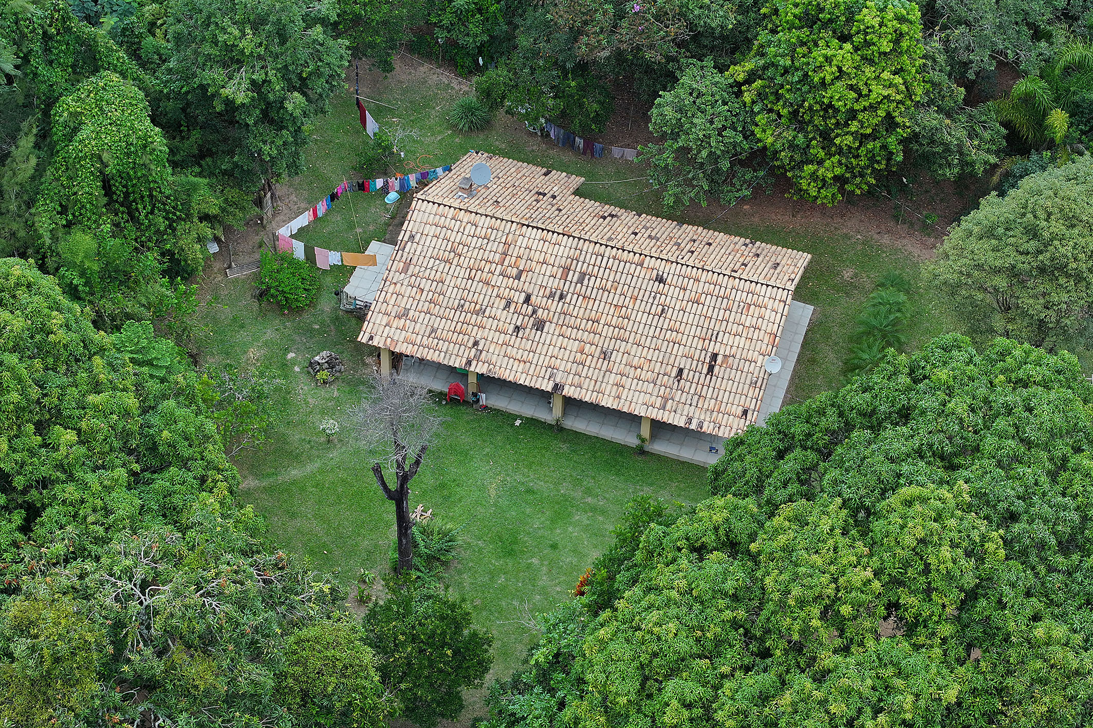  Renovated Farm with an Impressive Main Residence and Complete Infrastructure - 物件實景