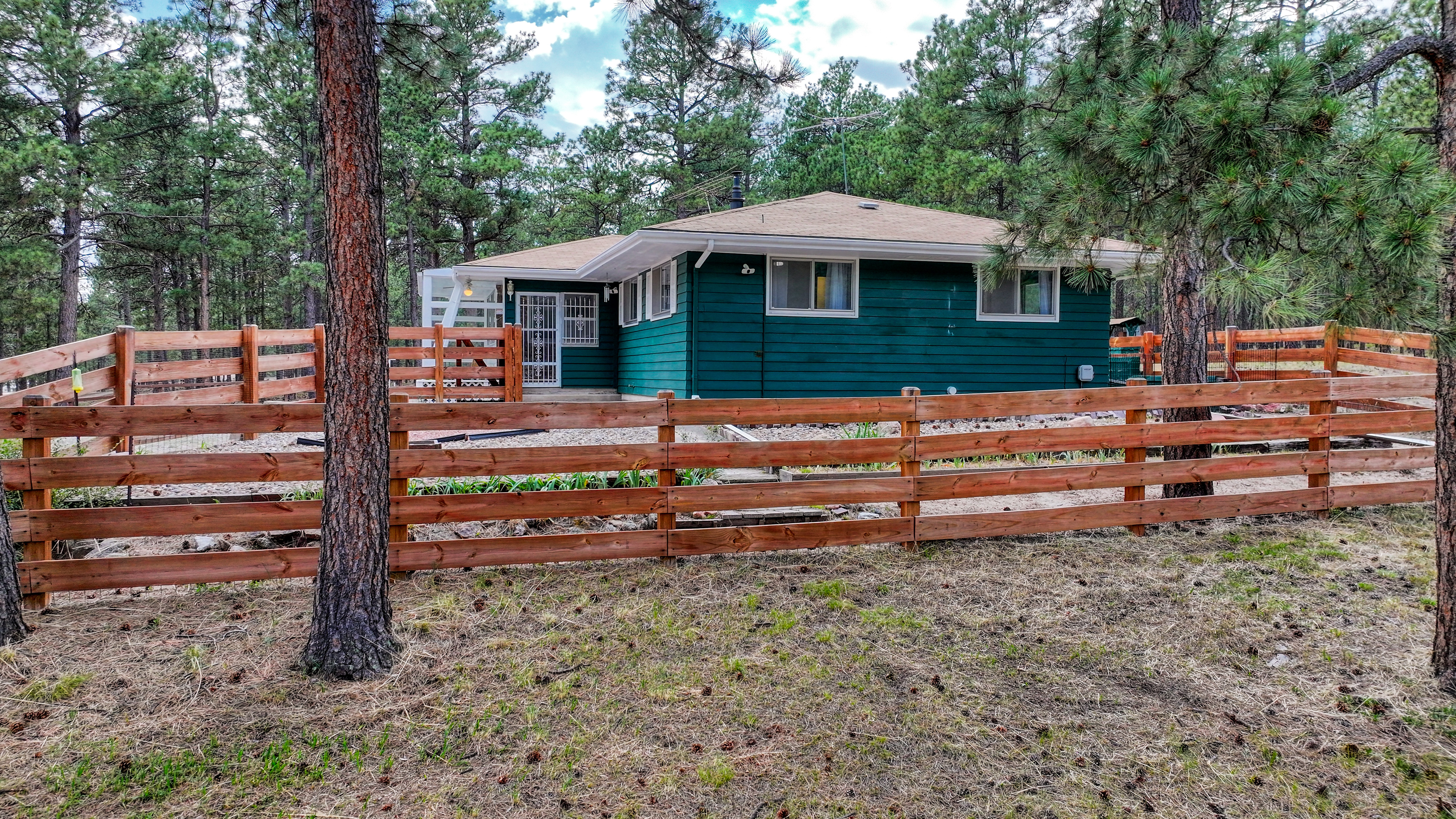  Meticulously maintained ranch-style home in sought-after Black Forest - 物件實景