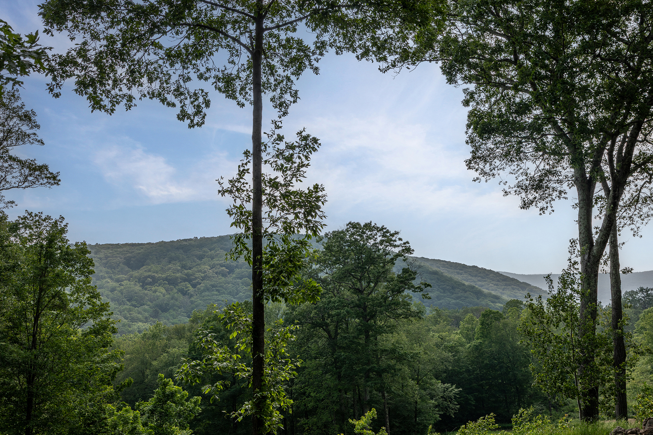  178 Carter Road - 物件實景