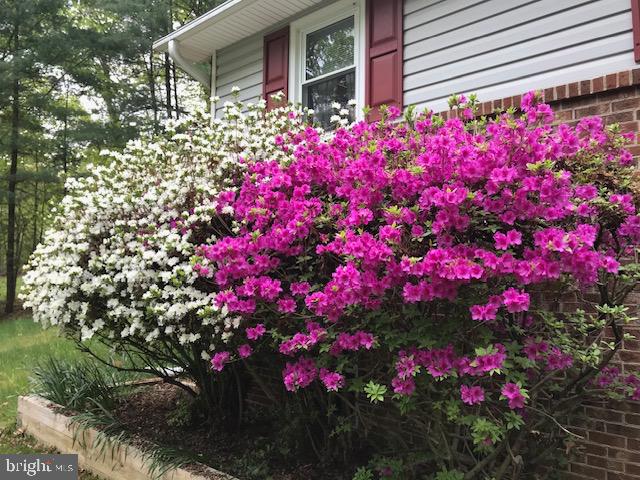 Manassas, Virginia, 20112, United States, 4 Bedrooms Bedrooms, ,3 BathroomsBathrooms,Residential,For Sale,1977190