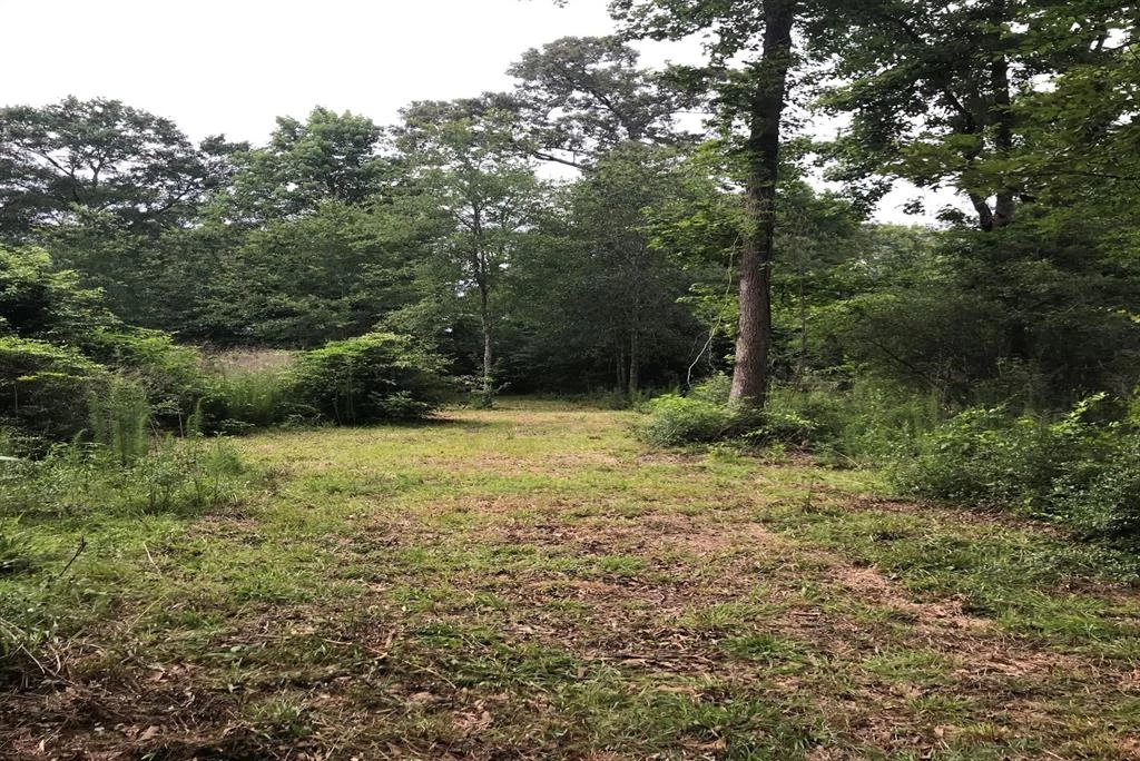 26150 Grand Pines Road, Magnolia, Texas, 77355, United States, ,Land,For Sale,26150 Grand Pines Road,1609479
