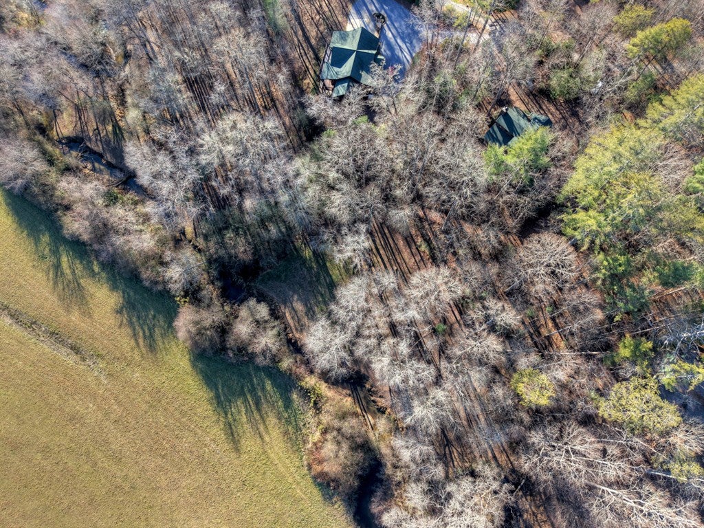 Blue Ridge, Georgia, 30513, United States, 3 Bedrooms Bedrooms, ,3 BathroomsBathrooms,Residential,For Sale,1954403