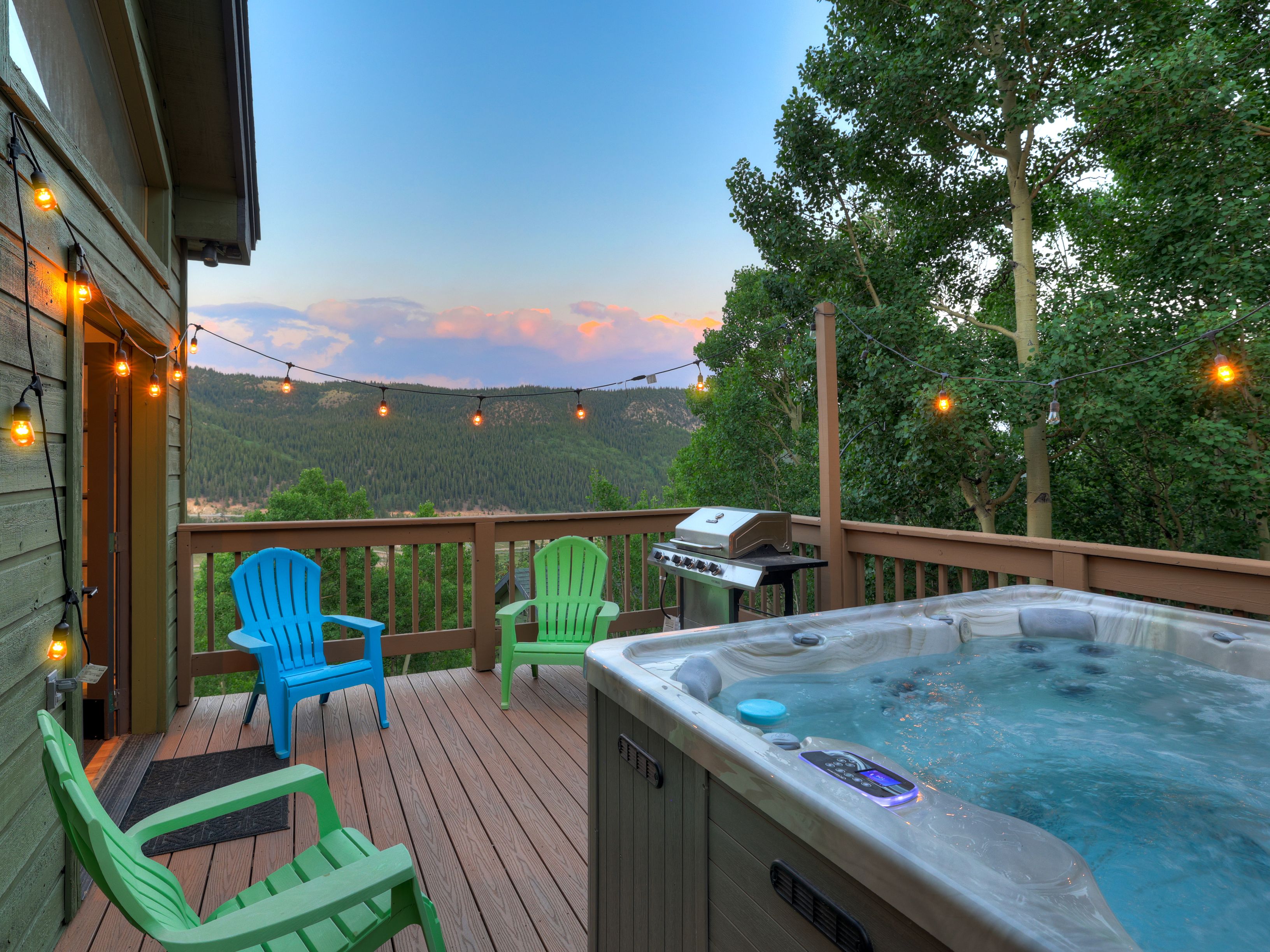  1095 Quartzville,Alma, CO, 80420 - 物件實景