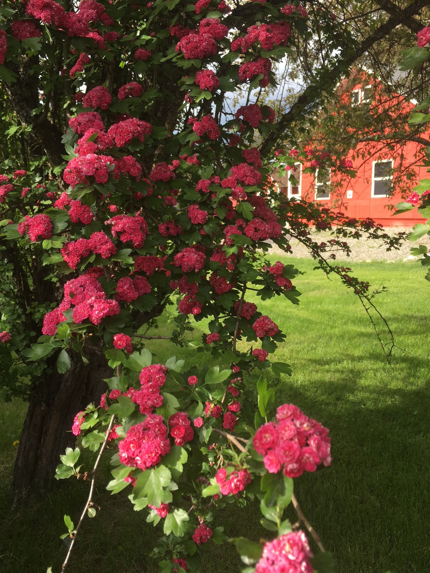 Priest River, Idaho, 83856, United States, 2 Bedrooms Bedrooms, ,2 BathroomsBathrooms,Residential,For Sale,1928264