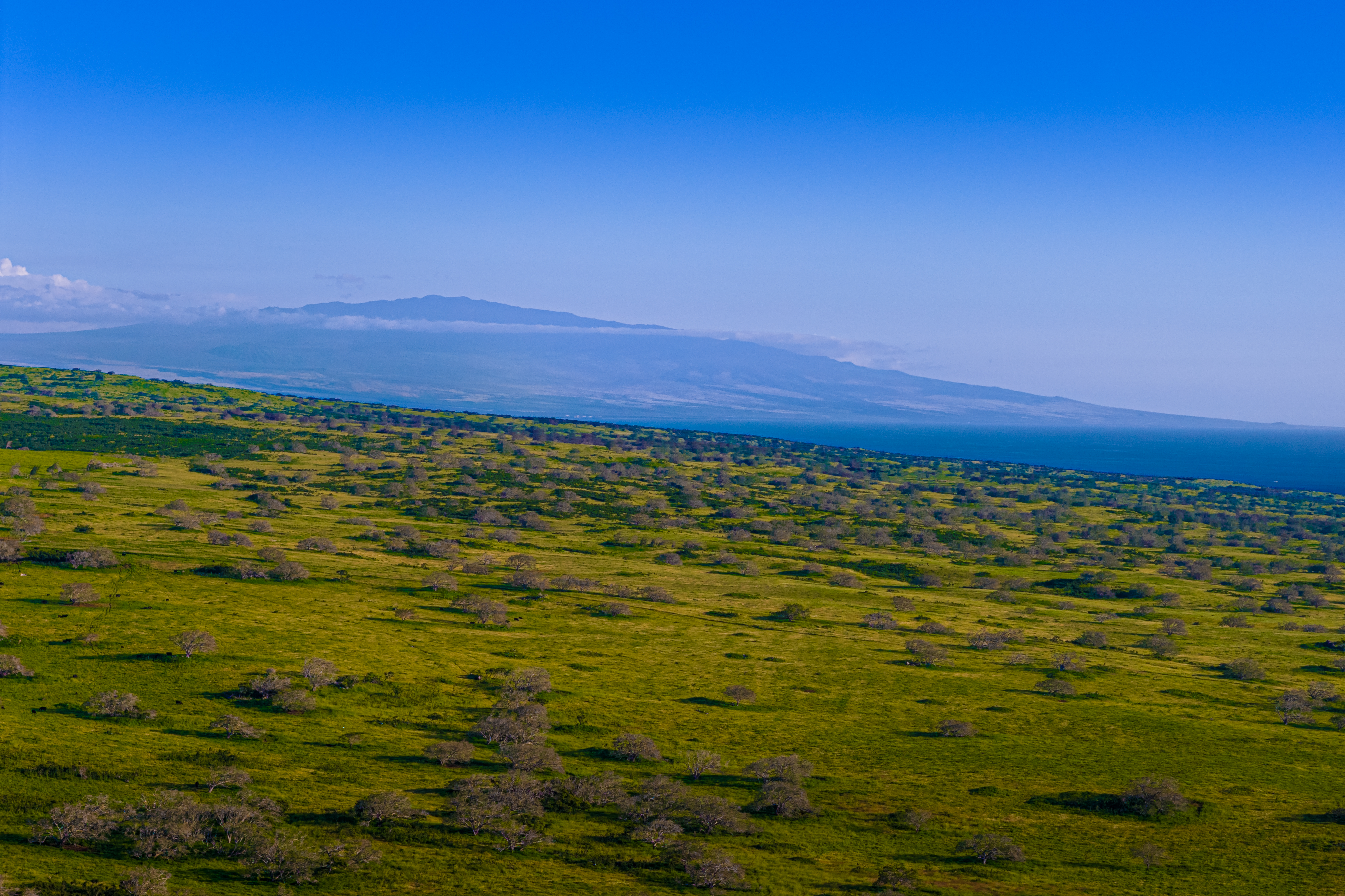  56-183 Pualani Rd, Hawi, HI, 96719 - 物件實景