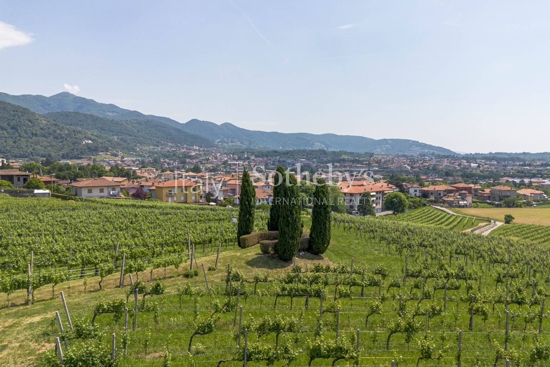  Historic agricultural estate with vineyards and heritage complex - 物件實景
